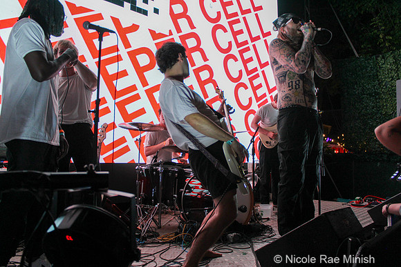 Sleeper Cell (by Nicole Rae Minish)