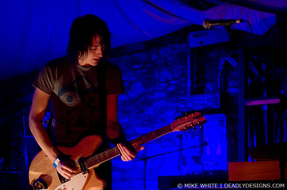 Summerbirds in the Cellar