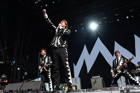 The Hives