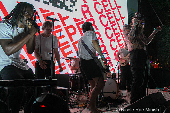 Sleeper Cell (by Nicole Rae Minish)
