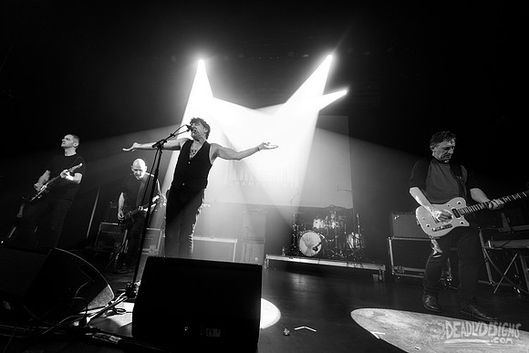 The Chameleons
