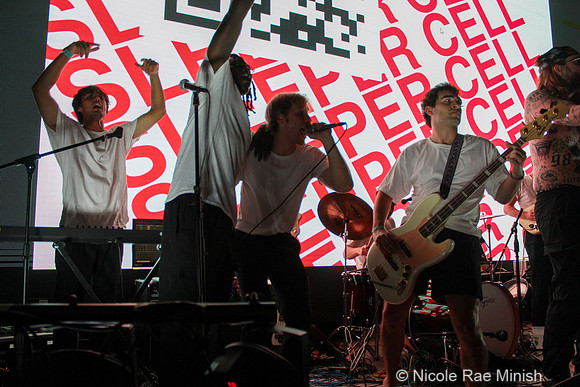 Sleeper Cell (by Nicole Rae Minish)