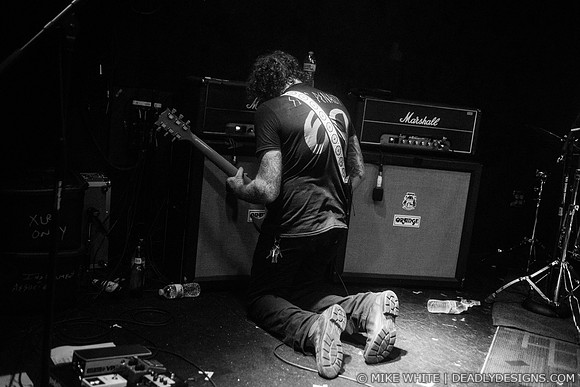 Mastodon