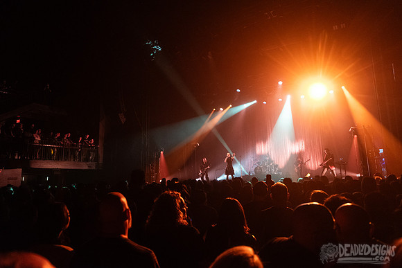 garbage2025-09-08-436