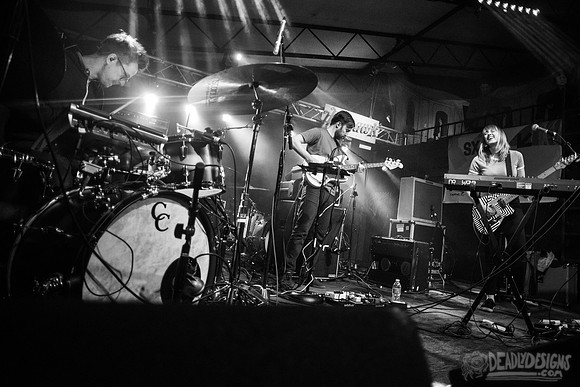 Wye Oak