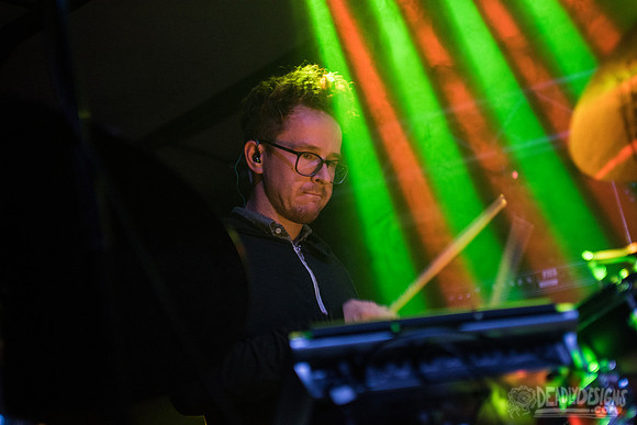 Wye Oak