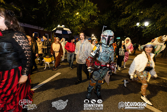 Wild Rumpus XIV