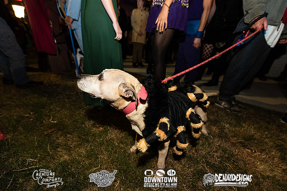 Wild Rumpus XIV