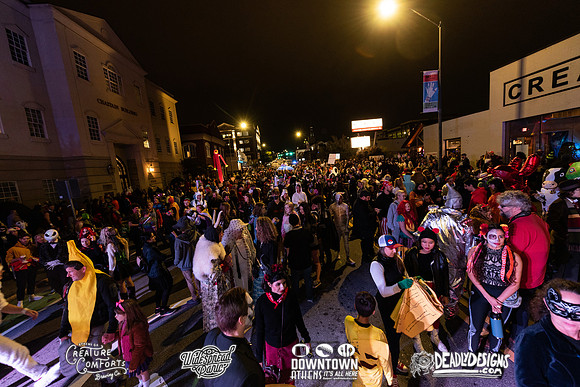 Wild Rumpus XIV