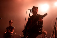 Black Lips