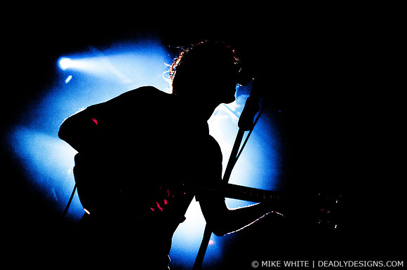 The Whigs