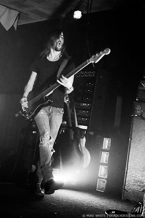 The Whigs