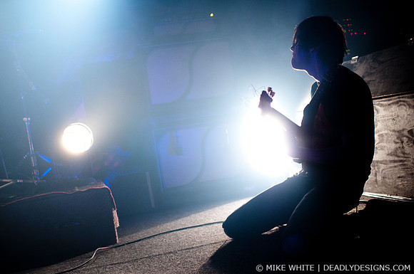 The Whigs