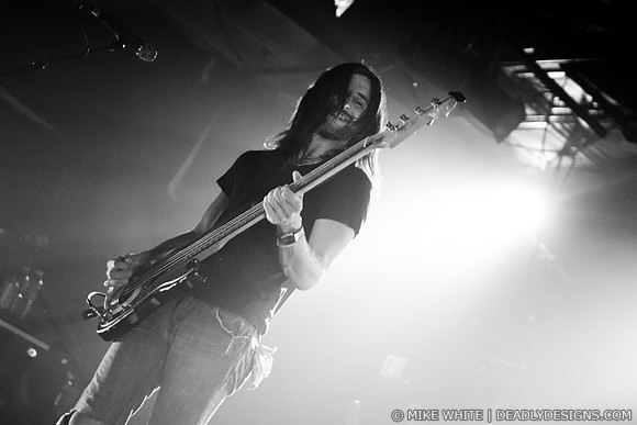 The Whigs