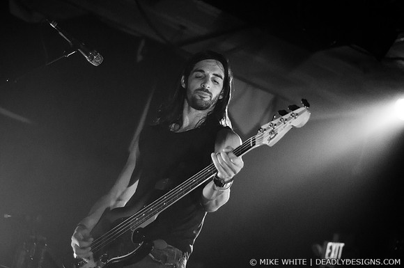 The Whigs