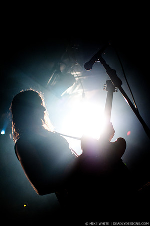 The Whigs