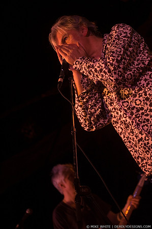 Robyn Hitchcock & the Venus 3