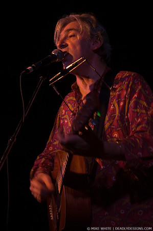 Robyn Hitchcock & the Venus 3