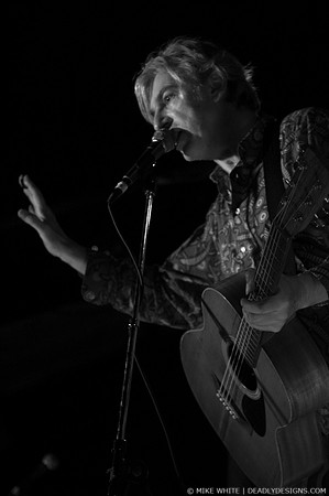 Robyn Hitchcock & the Venus 3