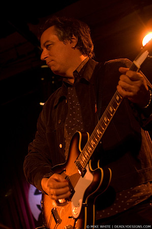 Robyn Hitchcock & the Venus 3