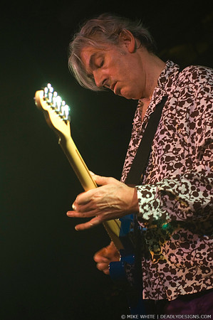 Robyn Hitchcock & the Venus 3