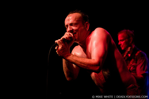 The Jesus Lizard