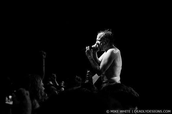 The Jesus Lizard