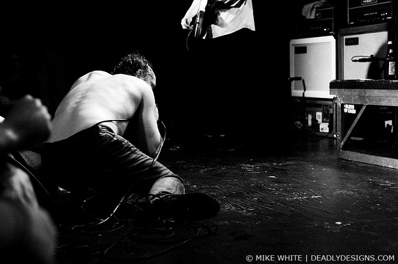 The Jesus Lizard