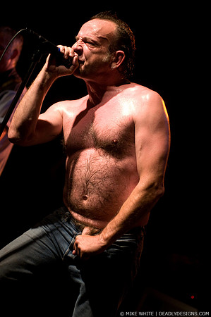 The Jesus Lizard