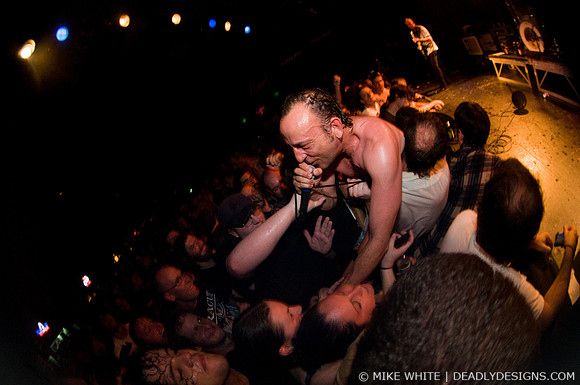 The Jesus Lizard