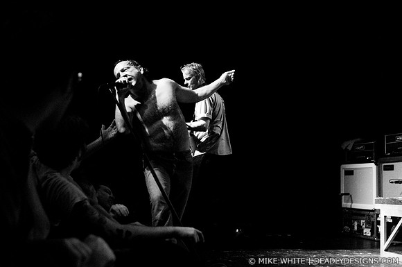 The Jesus Lizard