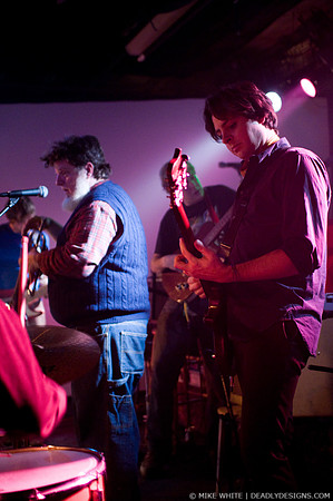 The Gerbils