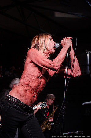 Iggy Pop and the Stooges