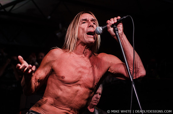Iggy Pop and the Stooges