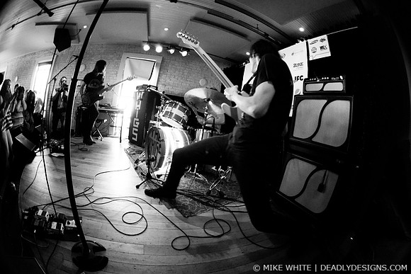 The Whigs