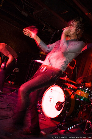 These Arms Are Snakes