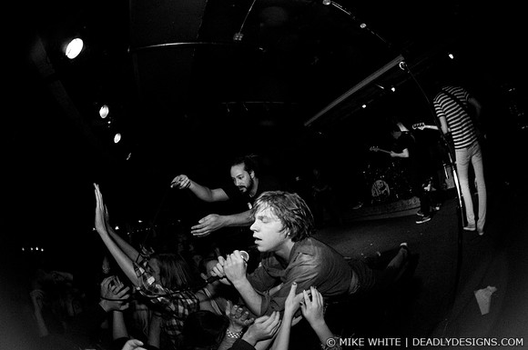 Cage the Elephant