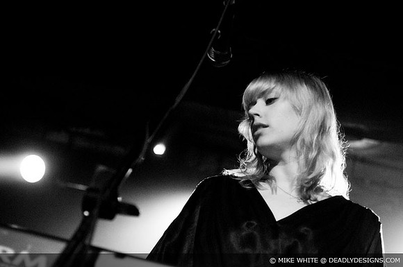Eagle Seagull