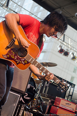 The Dodos