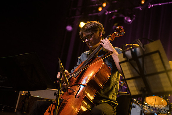 Chris Stamey