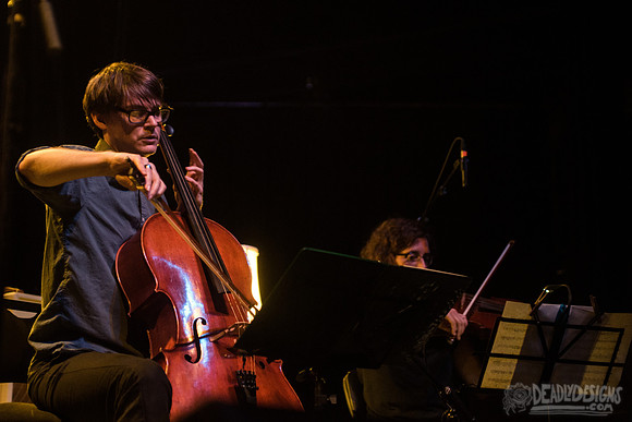 Chris Stamey