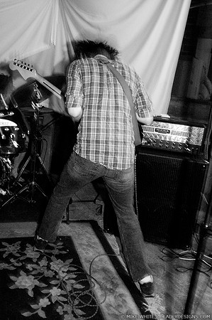 We Versus the Shark