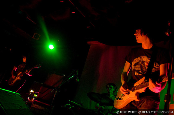 Summerbirds in the Cellar