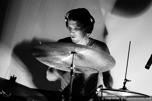 Summerbirds in the Cellar