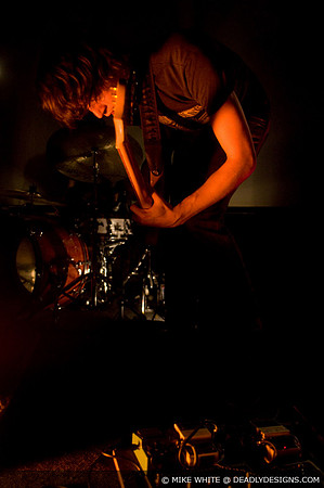 Summerbirds in the Cellar