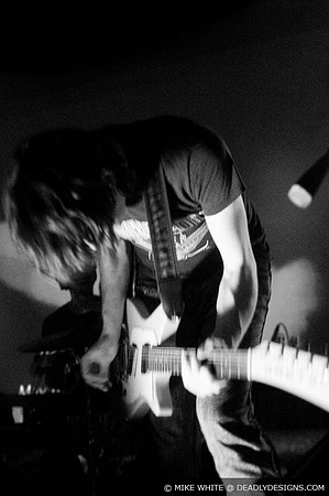 Summerbirds in the Cellar