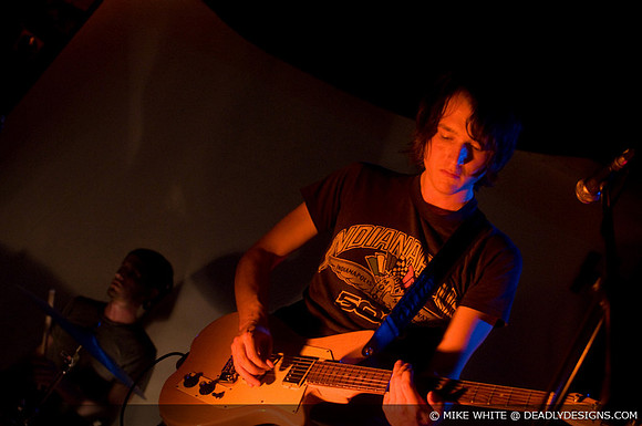 Summerbirds in the Cellar