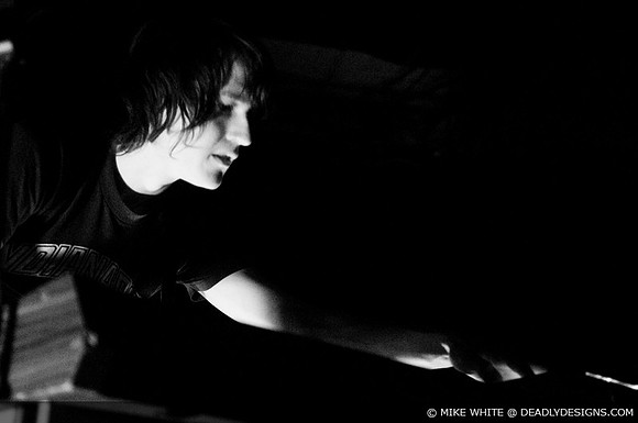 Summerbirds in the Cellar