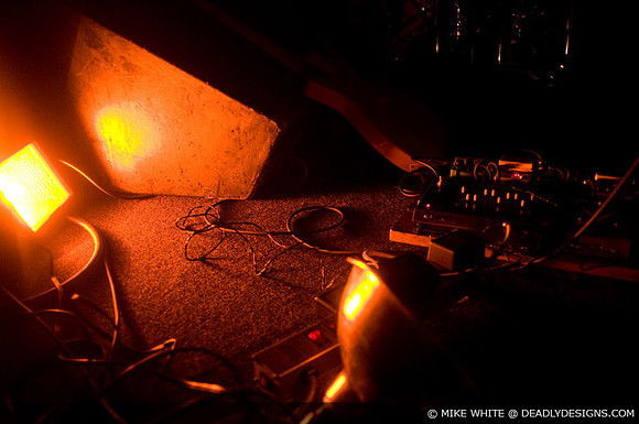Summerbirds in the Cellar