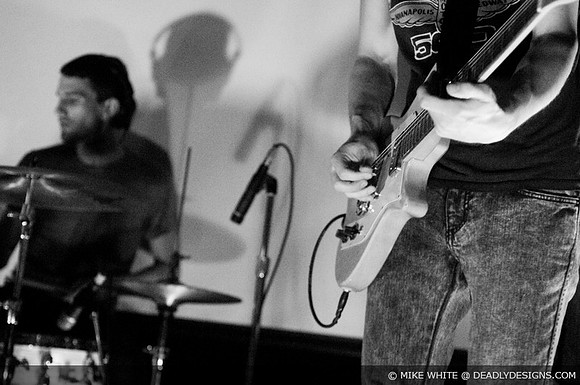 Summerbirds in the Cellar